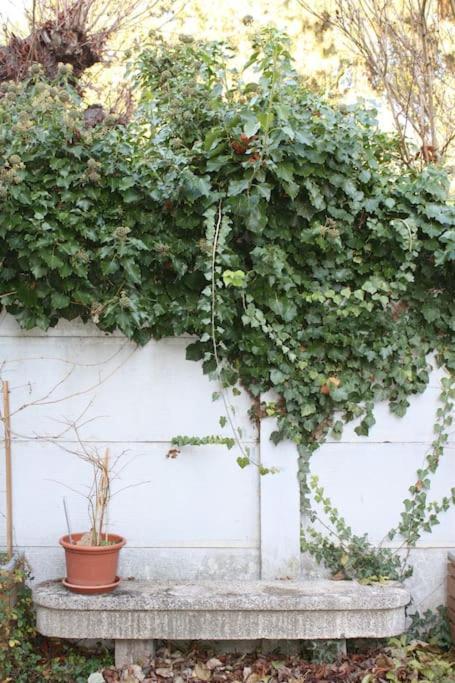 Superb Apt- Garden- 3 Parkings, Near Petite Venise ! コルマール エクステリア 写真